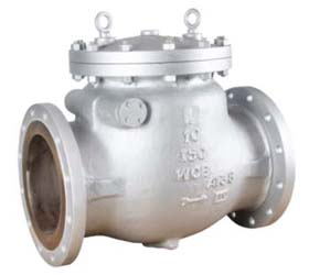 Swing Check Valve